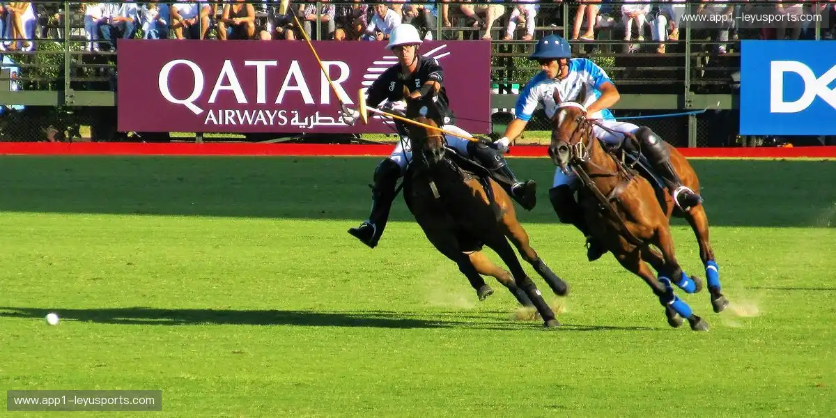 体育场景运营更具前瞻性